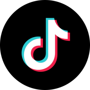 TikTok Circle Icon